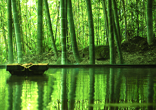 竹林の湯 サブ