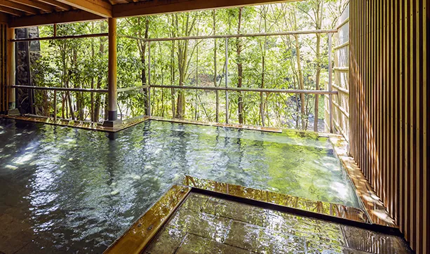 樹彩の湯